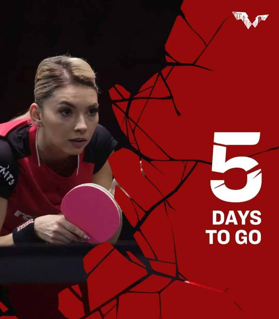 wtt公布十大海报,展示四大洲精英风采,孙颖莎领衔,日乒无一_乒乓_蒂娜