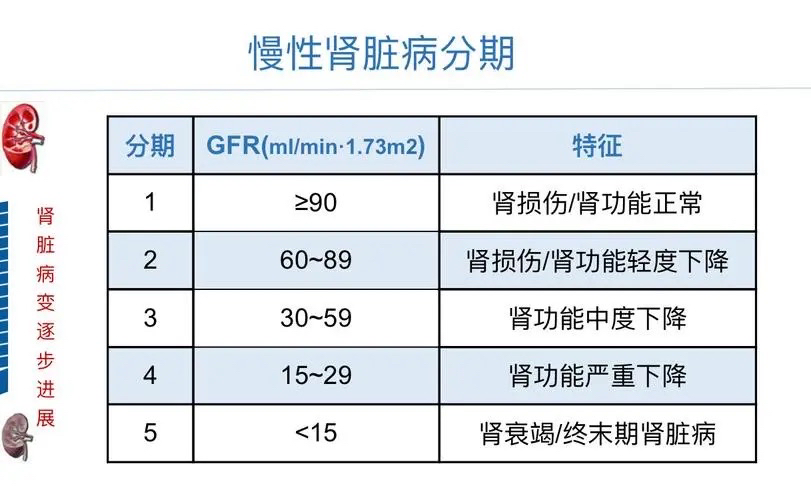 慢性肾脏病分期标准图片