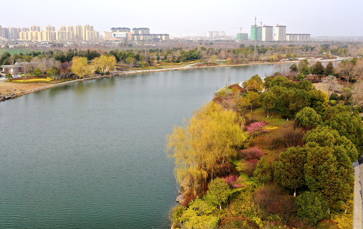 行摄遂平春花烂漫欣欣向荣