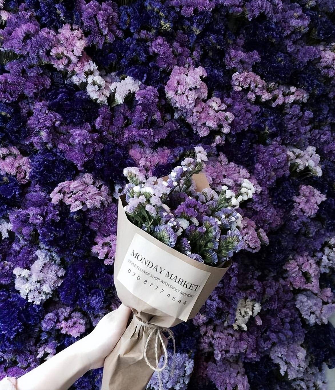 让花艺师扎心的16个瞬间有哪些