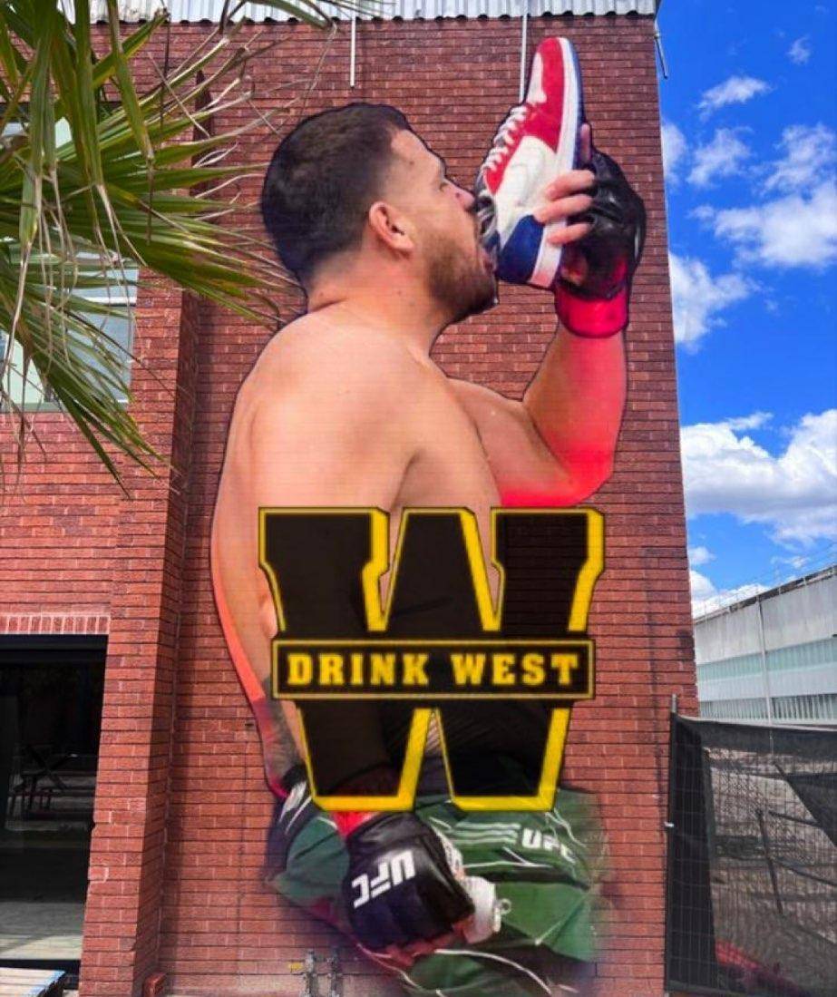 图瓦萨对阵迪布拉头条主赛简析,ufc维加斯格斗之夜88期暂定对阵_回合