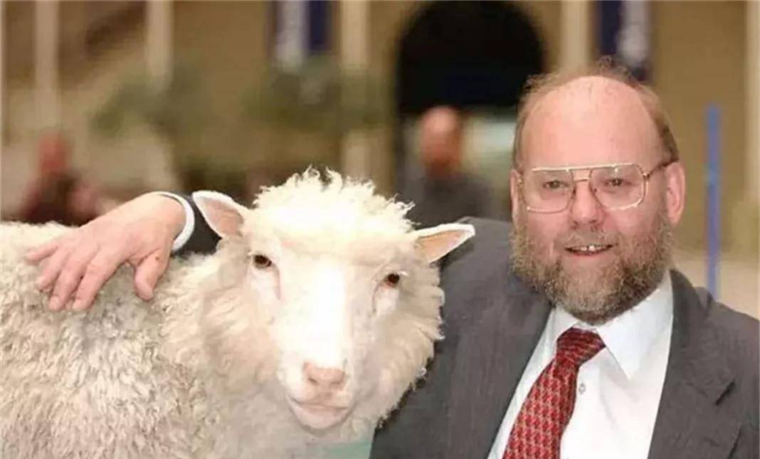 为什么现在很少提"克隆技术"了,多莉的一生就是答案,太可怜了_生物界