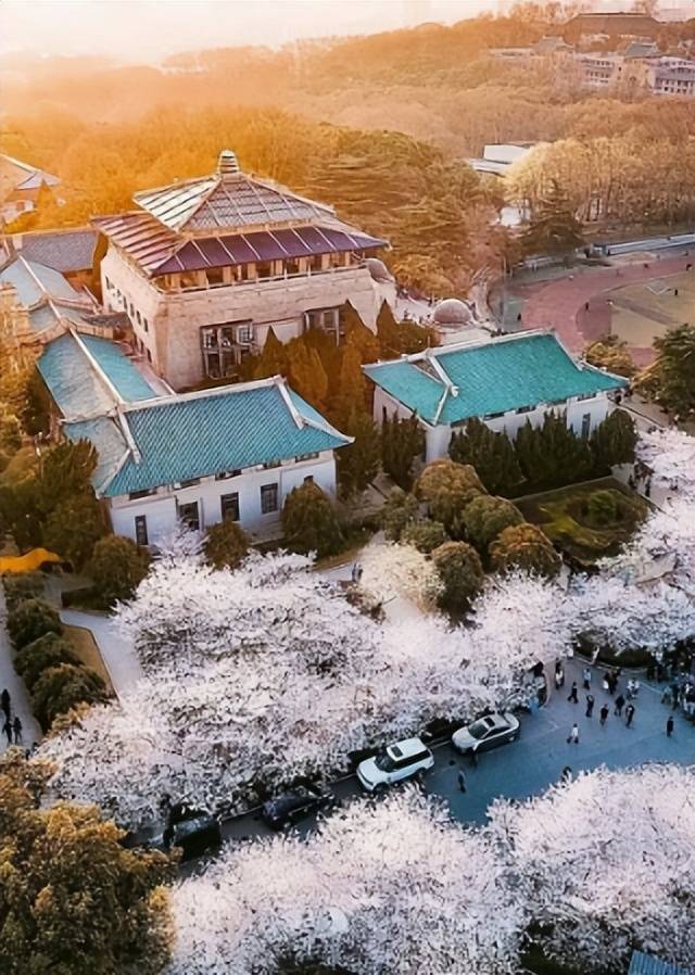 原创武汉大学樱花季游客络绎不绝一学生与游客大打出手学校回应了