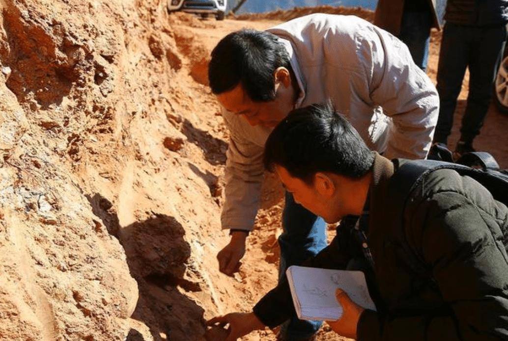 湖北山村发现一堆怪异石头,按每个7毛卖掉,专家:这是国宝_天义_化石