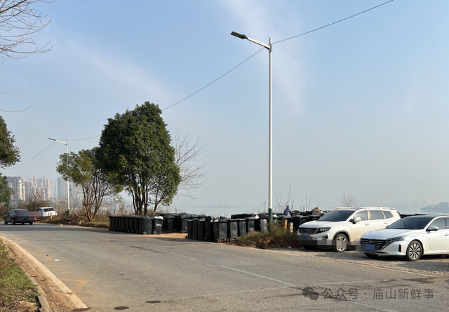 江夏庙山这里进行专项湖岸线整治活动未来能打造滨湖绿道吗