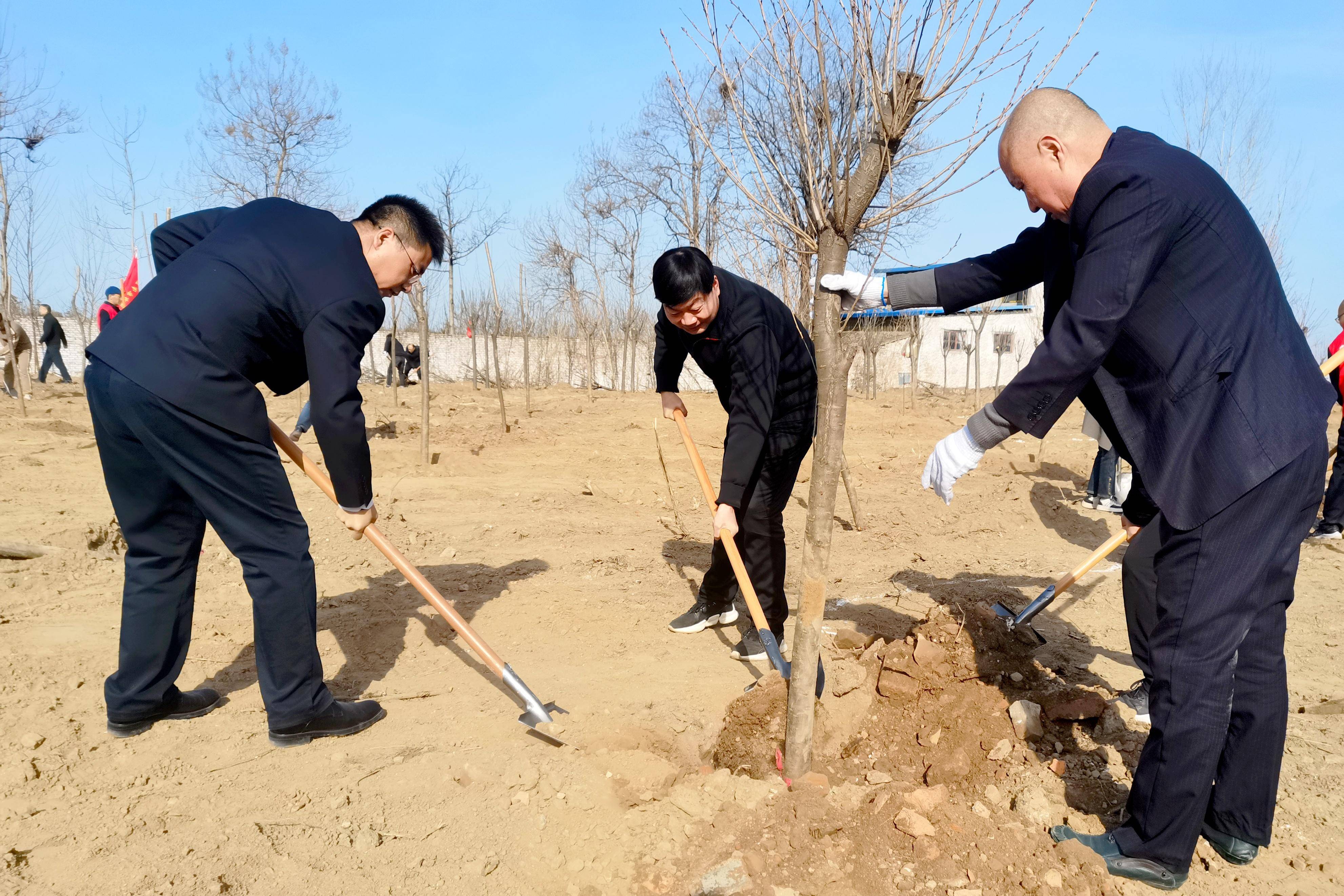 草长莺飞春意浓植此青绿我先行农行渭南分行组织开展义务植树活动