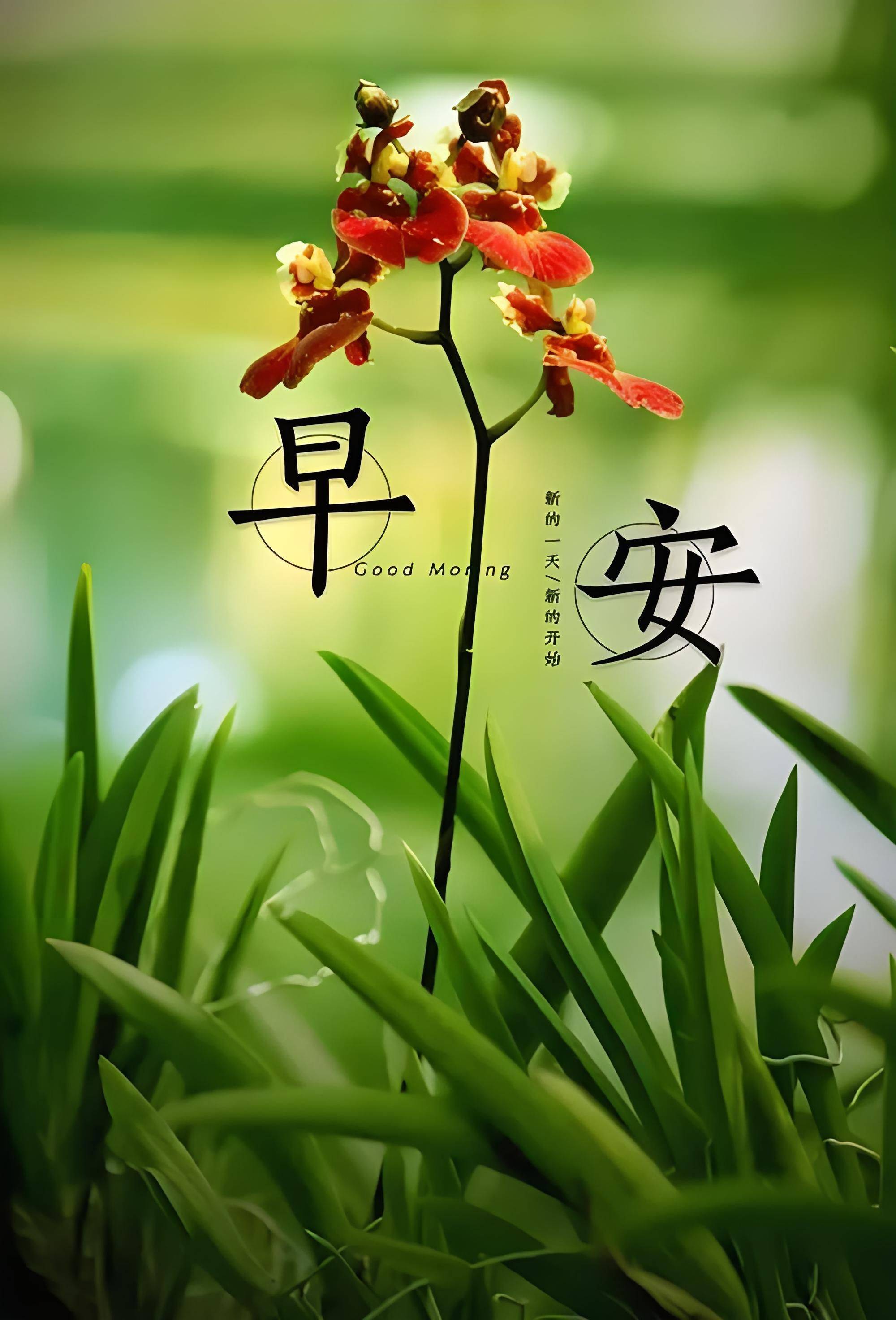 无论是亲朋好友还是素不相识的陌生人大家都愿意在这个美好的日子里