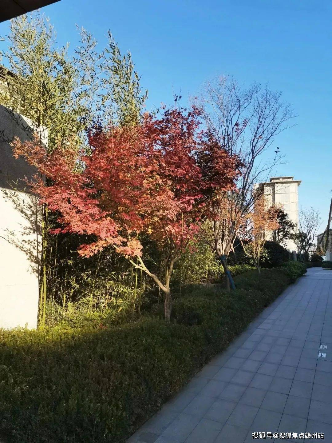 郑州招商公园1872售楼处电话→售楼中心首页网站→楼盘百科详情→24