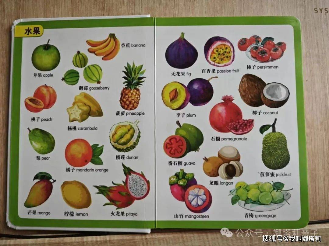 伴读razdbeesfeedme