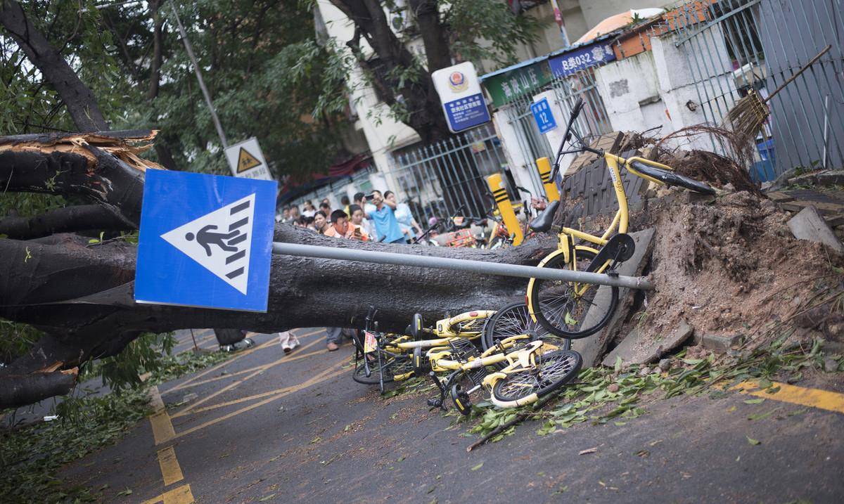 在那年的云娜台风中,全浙江省有1299万人受灾,经济损失181亿,遇难164