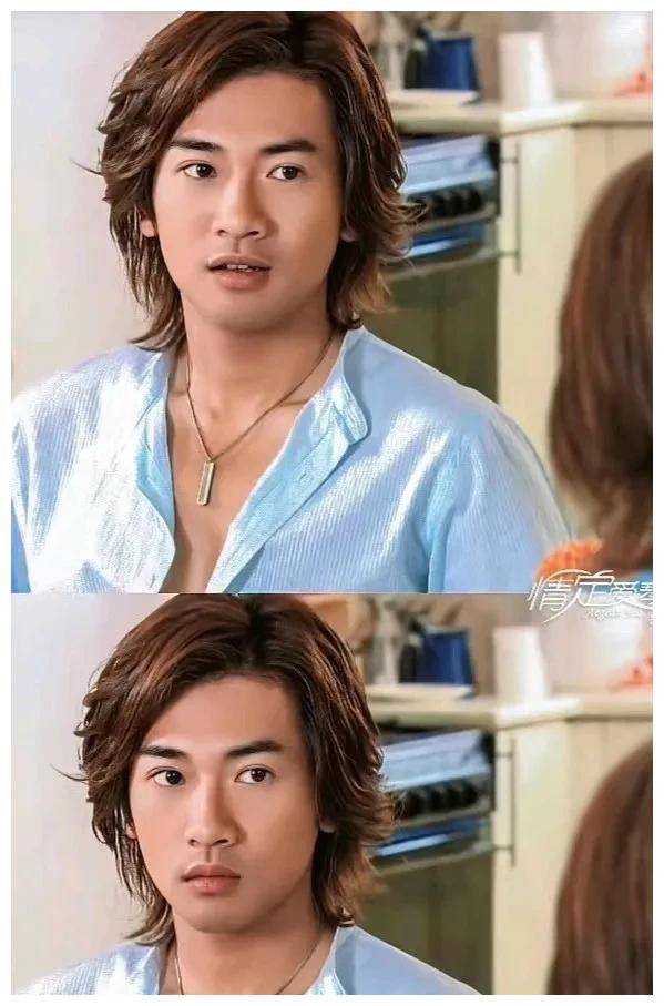 苏有朋:颜值与演技并存,获得不老称号,单身贵族生活惬意!