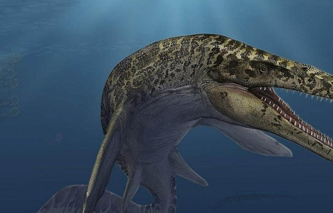 十大最大海洋恐龙图片