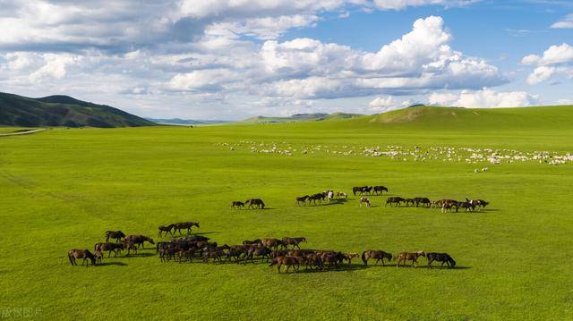 内蒙古六天五晚保姆级旅游攻略来了_草原_day_呼和浩特