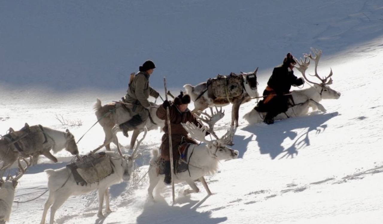 额尔古纳河右岸读后感解析对生活的真正意义