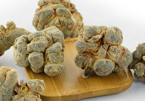 这些三七的功效与作用,太强大了,后悔没早知道_调节_植物_因为