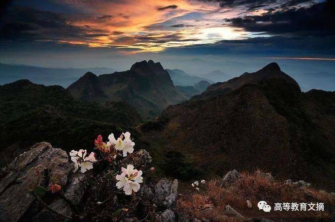 满分作文走红网络一个通透的人才能写出如此通透的作文