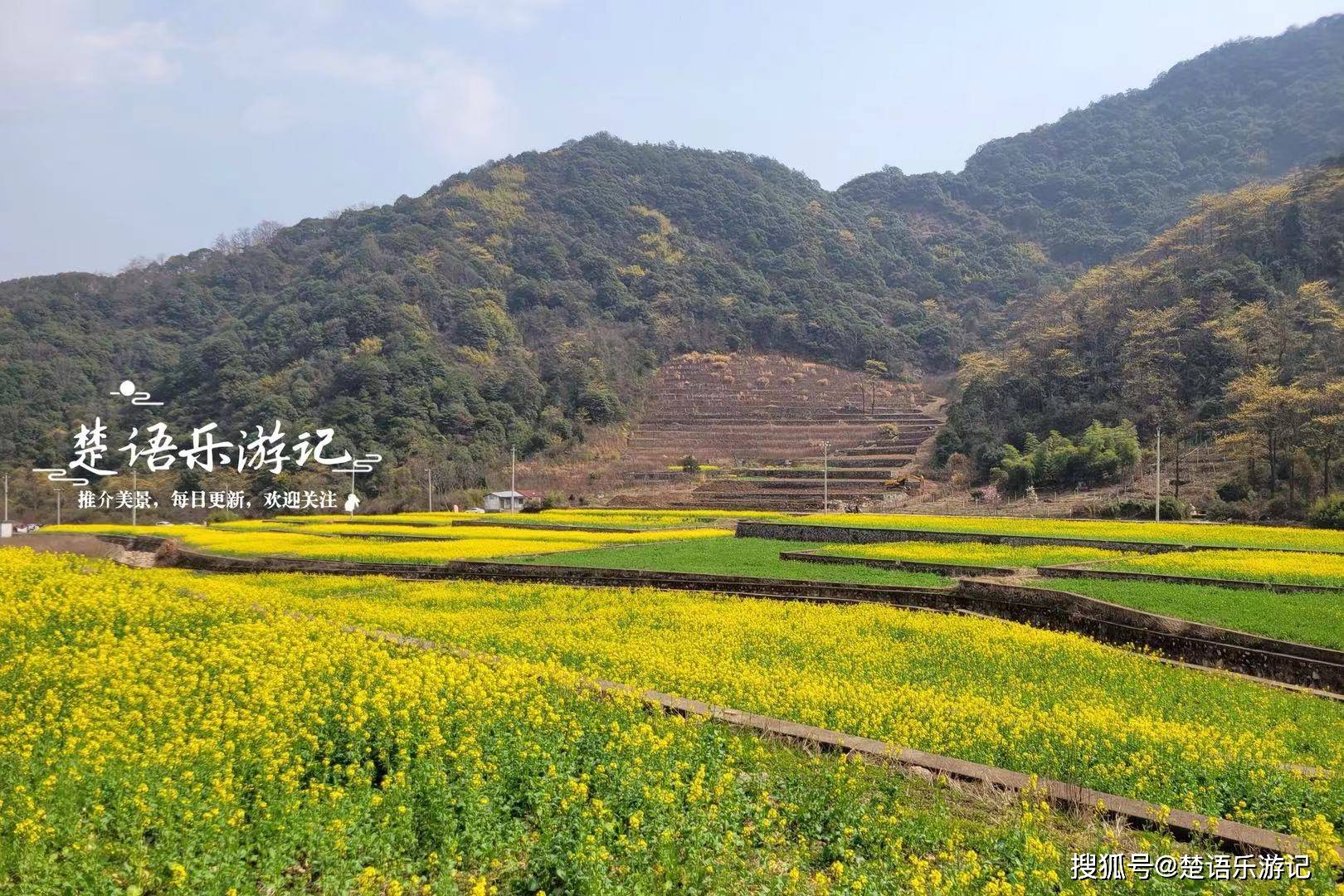 横坑水库油菜花海藏不住了,梯田美如画,适合自驾但游人如潮_到达_奉化