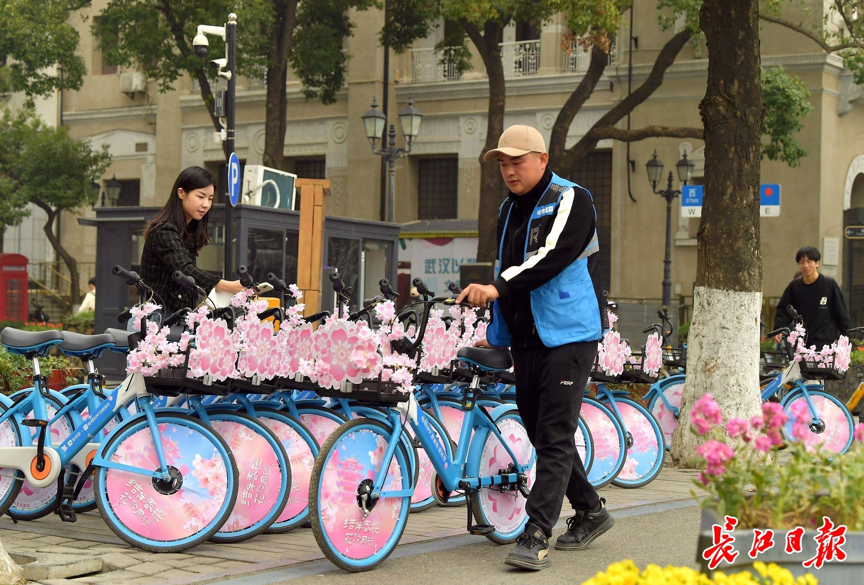 武汉限定樱花共享单车上线