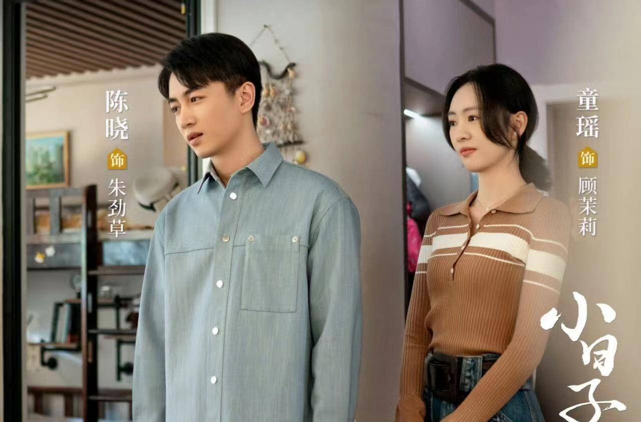 电视剧中,两人深爱着彼此,克服了从校服到婚纱的种种困难.