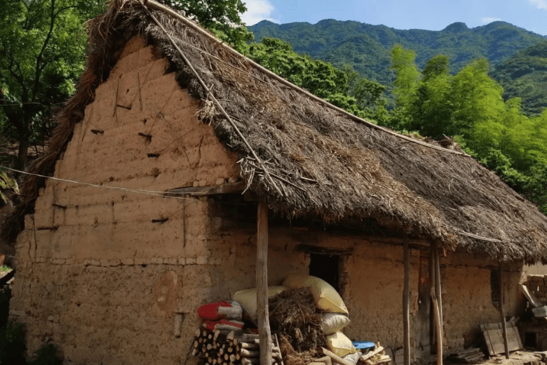 六十年代茅草屋图片图片