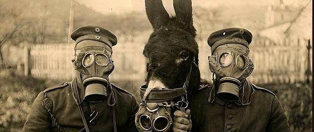 原创盘点毒气战的发展史残忍程度令人不寒而栗愿世界没有战争