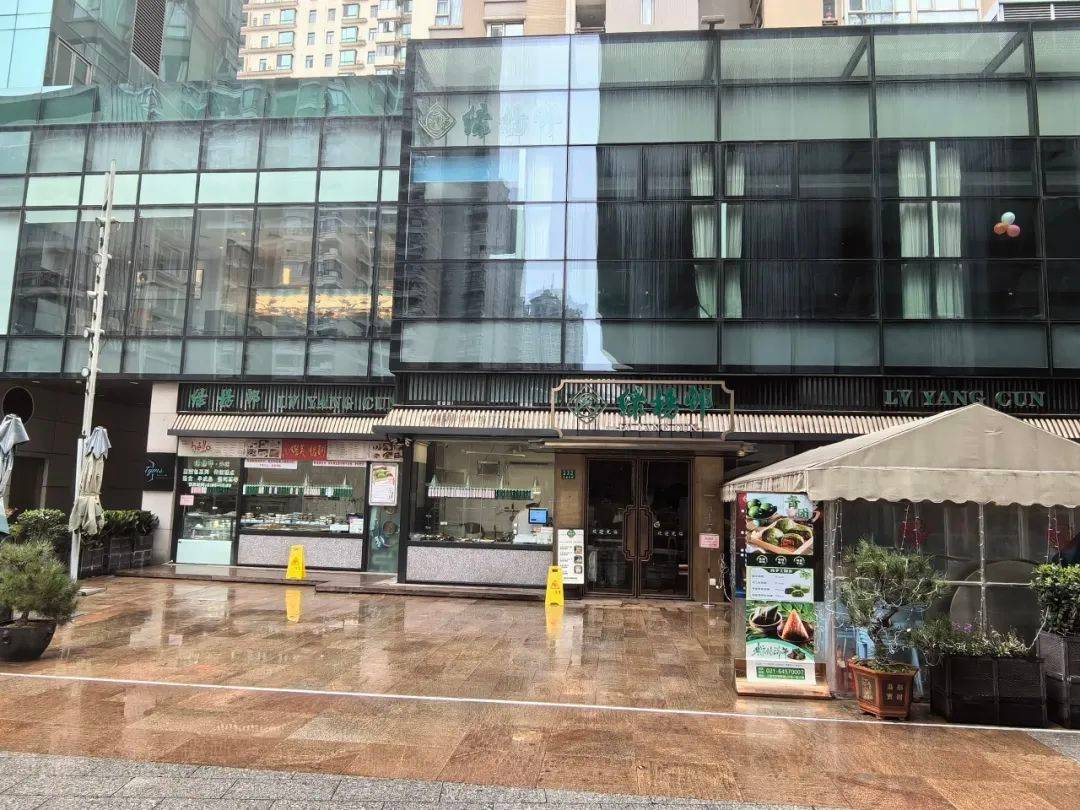 绿杨邨(摄影:殷志军)徐汇区徐家汇街道天钥桥路的永新坊汇聚了各种各