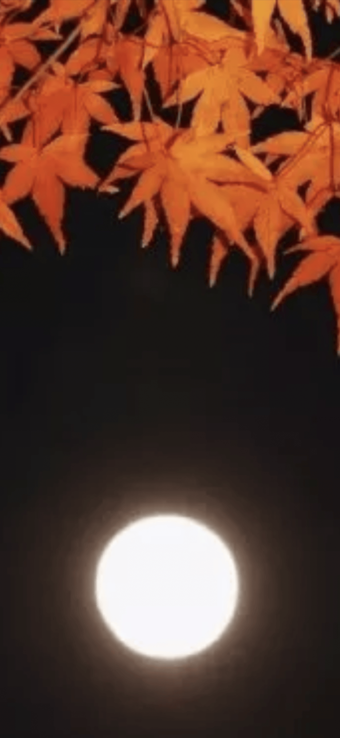 问 女过零丁洋过丁洋,那有转季春不馋.