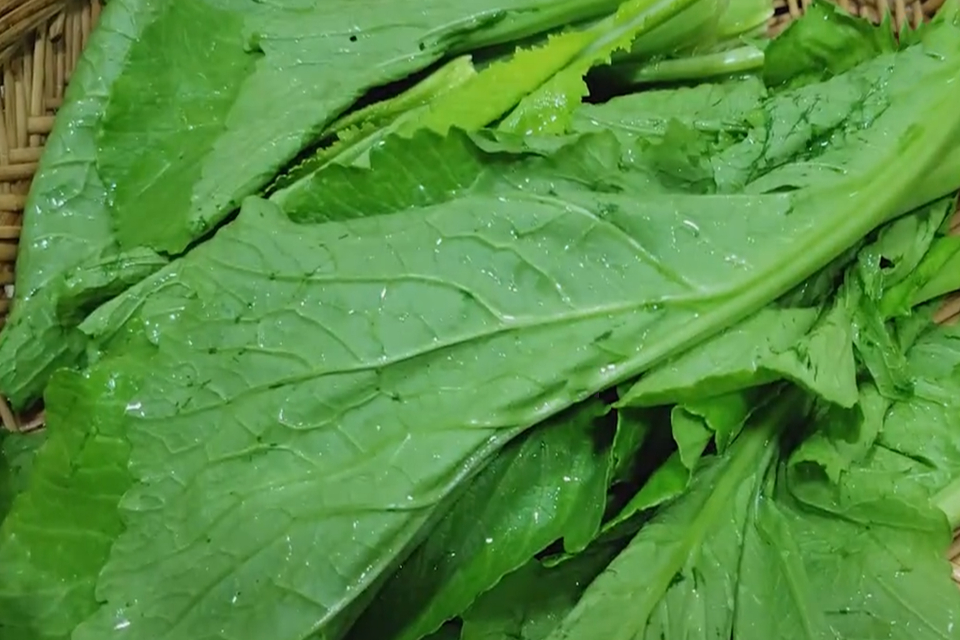 原创潮汕味道春日里的这锅春菜煲是无数潮汕人念念不忘的味道