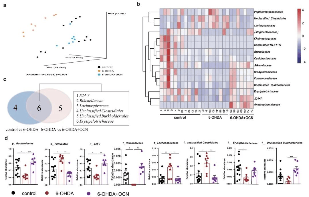 国自然热点微生物脑器官轴多组学助力脑器官轴深度剖析
