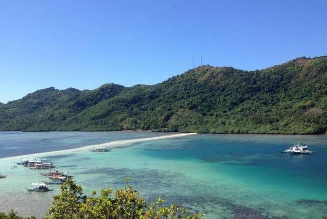 原创中国无名蛇岛栖息2万多条毒蛇政府每天送吃送喝却不对外开放