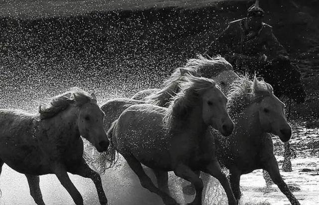 骑兵_战马_明朝