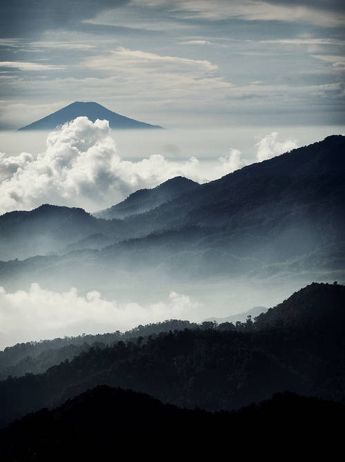 心之所向素履以往壁纸no1