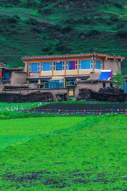 春夏花如海,艳惊四座_阿坝_大熊猫栖息地_若尔盖县