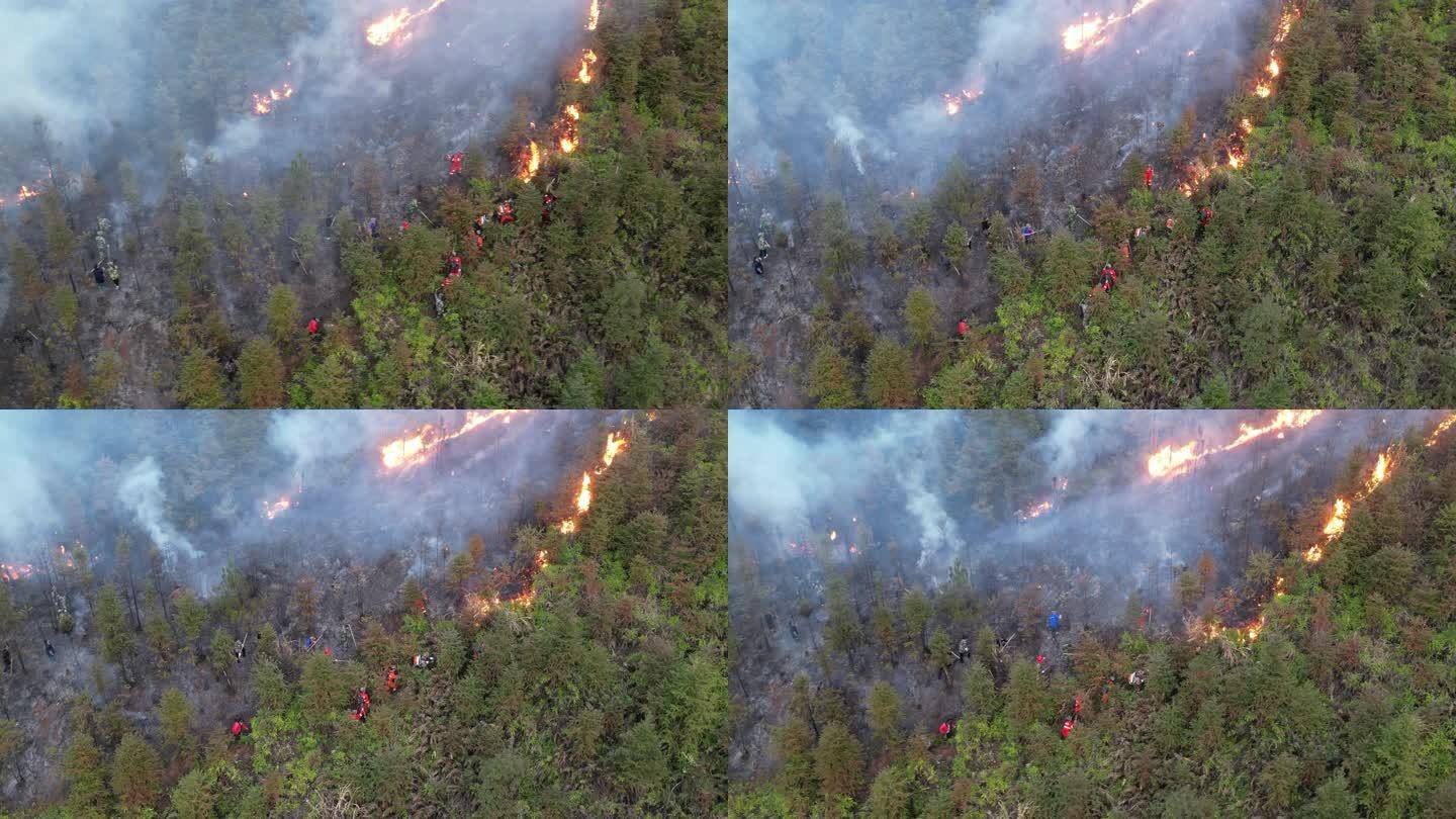 云南大理又发山火,火势蔓延迅速,为何春季多发山火?