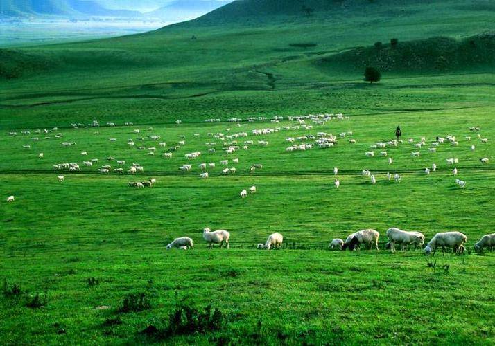 内蒙五天报团行程方案,响沙湾5天行程费用攻略_旅游_呼和浩特_草原