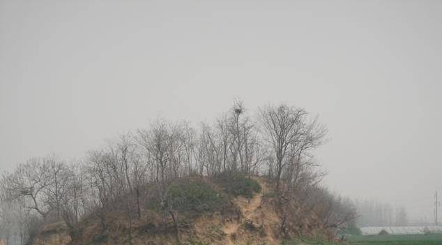 四公里地下长城现身河南开封专家揭开三国曹植墓真相