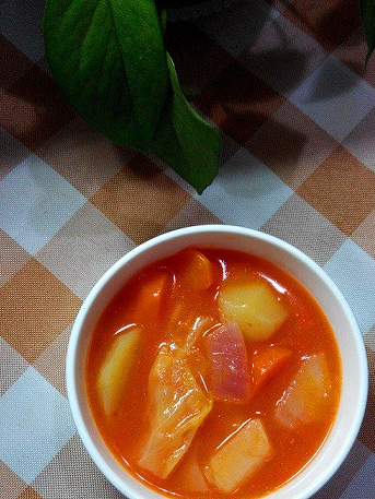 全素罗宋汤的做法简单易学好吃到停不下来