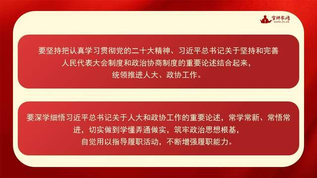 宣讲家课件:【学习贯彻2024年全国两会精神】履职尽责不负人民重托