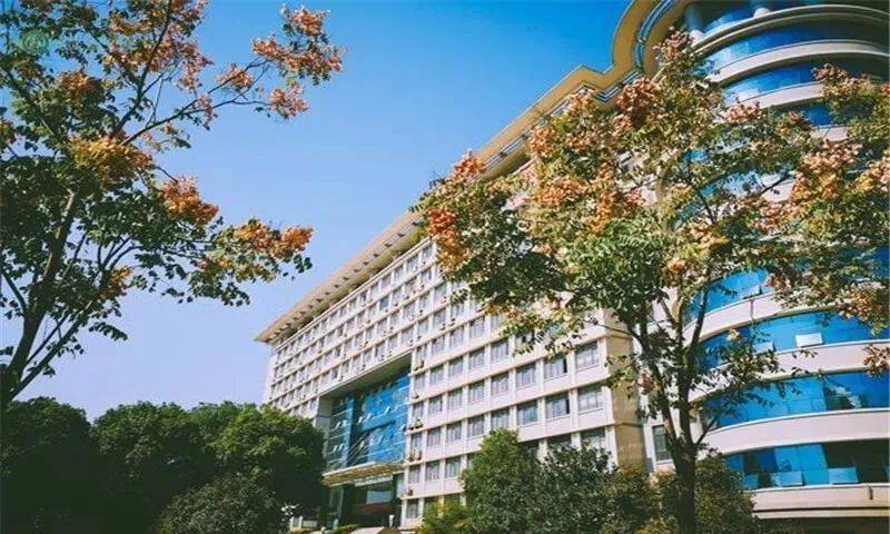 这8种自杀式志愿每年都有人填严重到没有大学读