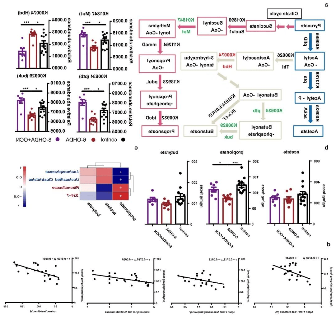 国自然热点微生物脑器官轴多组学助力脑器官轴深度剖析