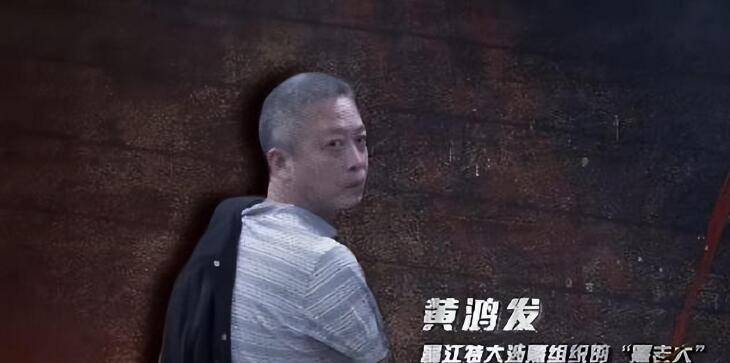 《罚罪》昌武赵家原型揭秘,海南昌江黄家,五兄弟横行30年_鸿发_生意