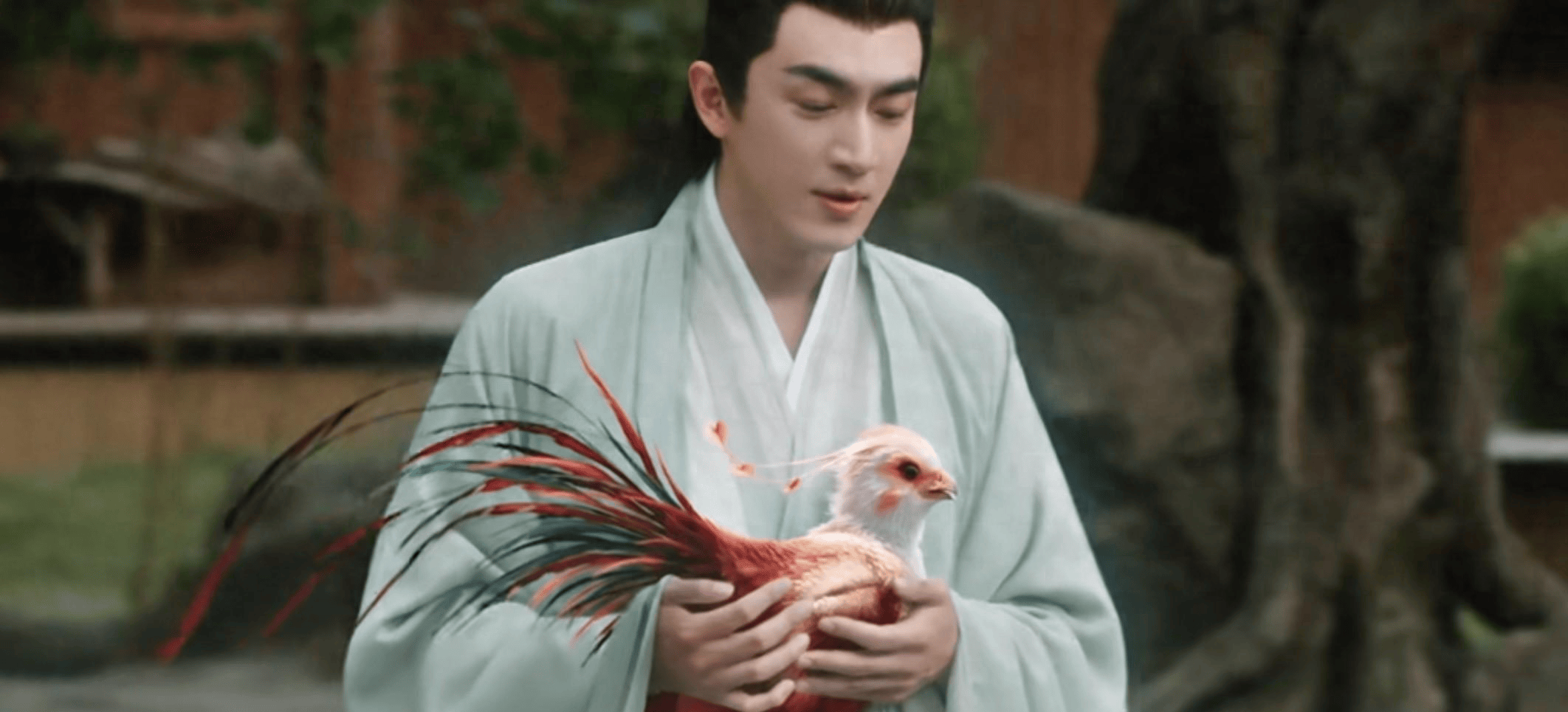 与凤行不像期待中那么惊艳看着林更新和一只鸡说话特别尬