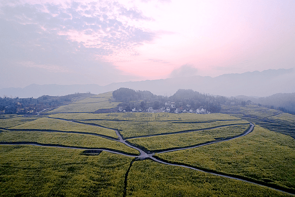 金海银浪靓山寨吸引游客促发展