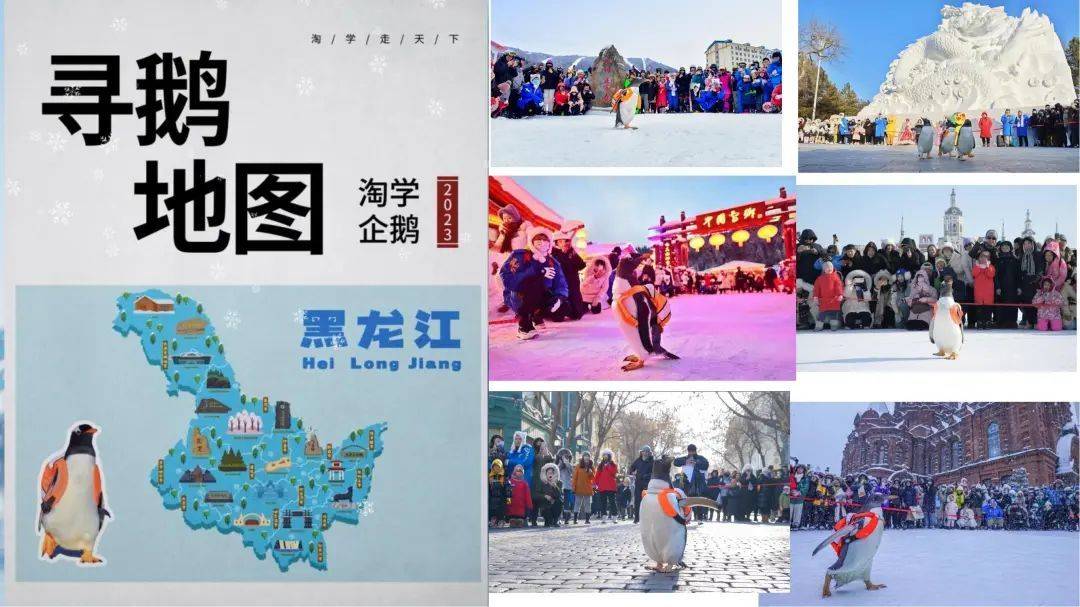 企鹅哈尔滨文旅爆火的导火线