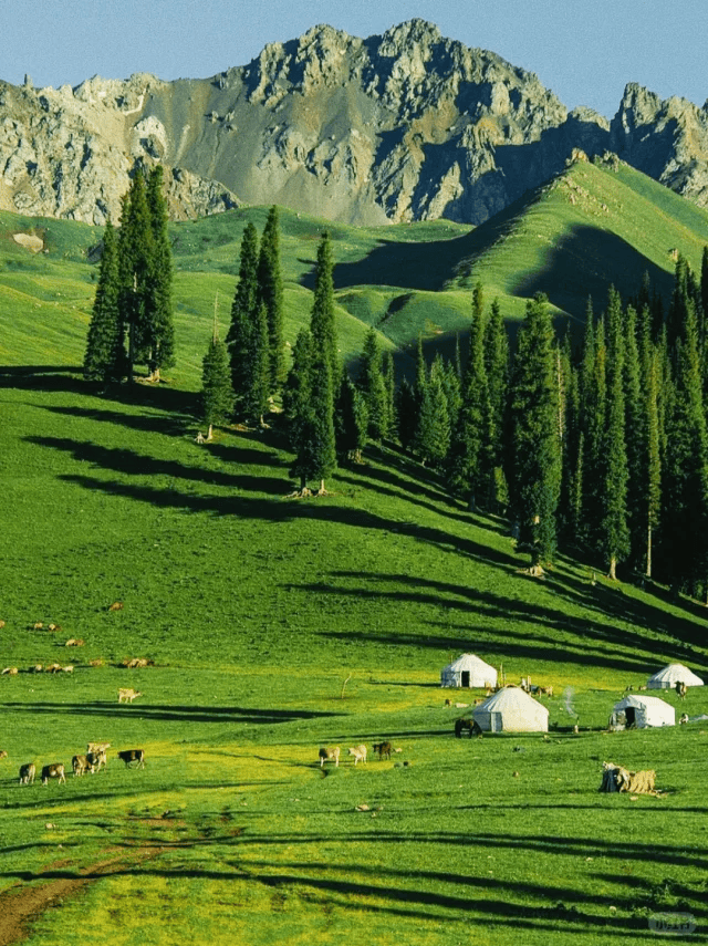 热带草原图片图片