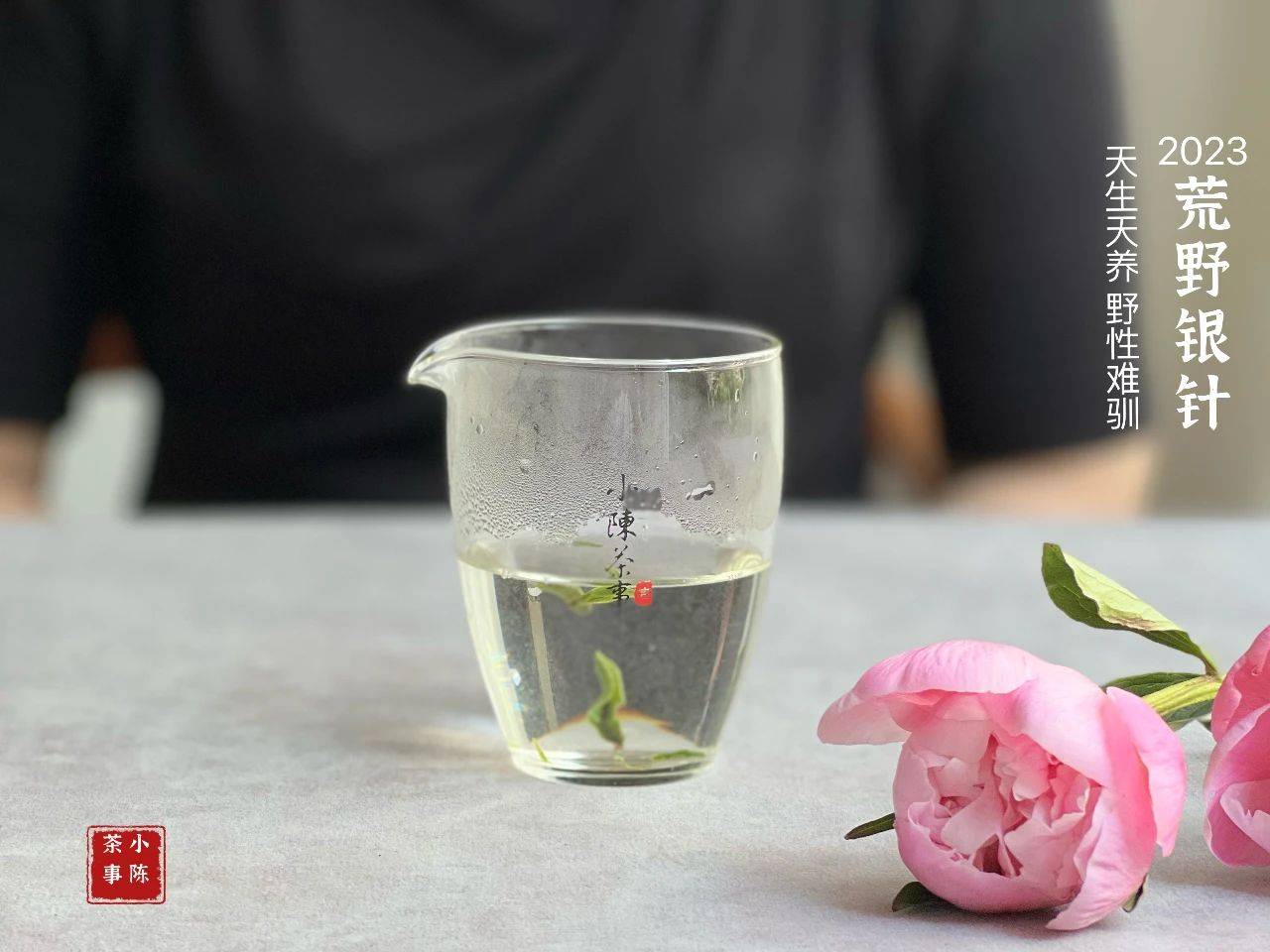 原创十家卖荒野茶的九家都是假货荒野白茶为什么这么多坑