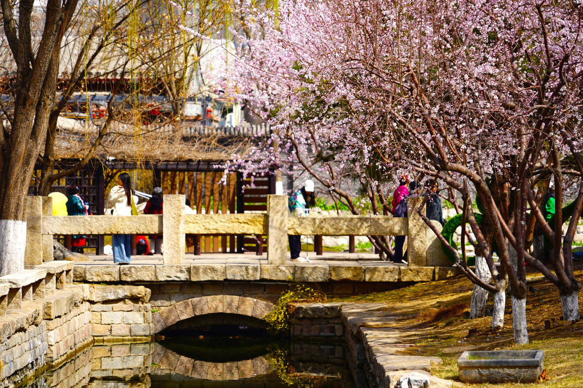 到北京游玩优选出行西城的三里河公园这边的历史人文很有魅力