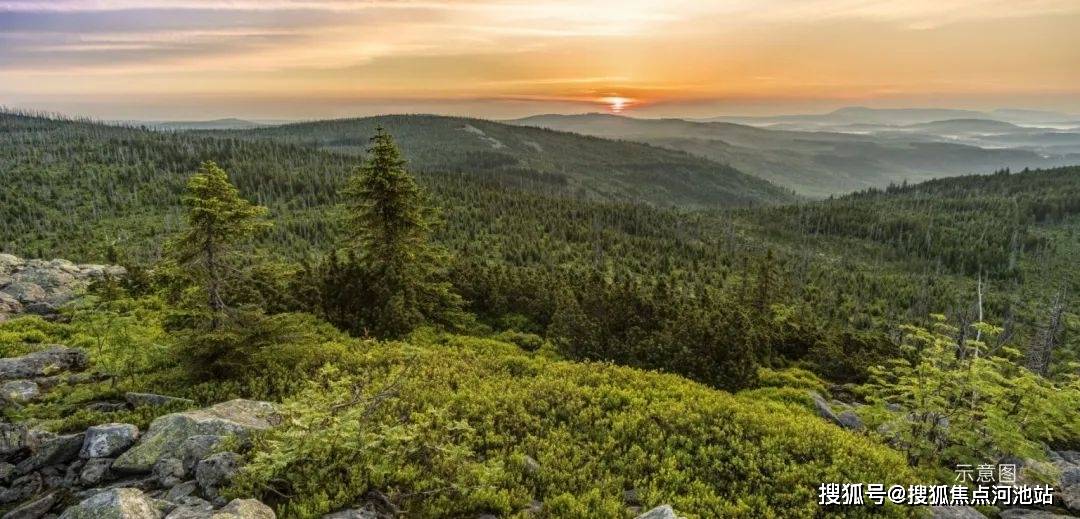 深圳星河星悦云邸楼盘详情图文价格星悦云邸户型图位置交通售楼处电话