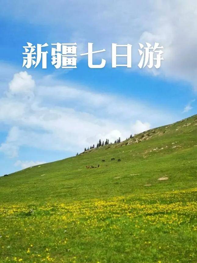 去新疆伊犁7日游跟团价格_旅游_阿林_http