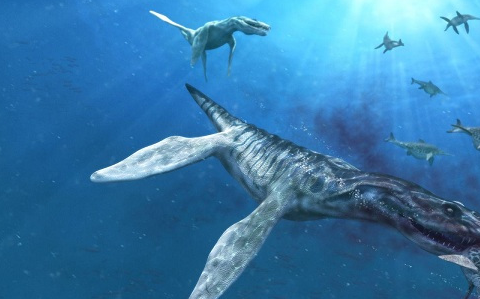原创海洋里最大的恐龙排行榜体型最大的海洋恐龙你肯定不知道